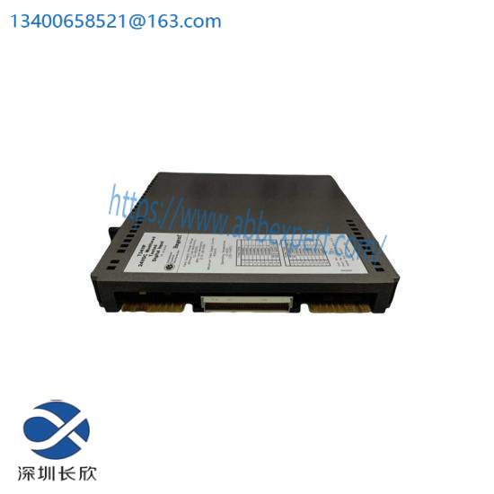 ics_triplex_t8110c_2.jpg ICS Triplex T8110C Control Module