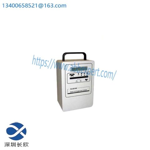 Teledyne 3110 Portable Oxygen Analyzers, Advanced Portable Technology for Precise Measurement