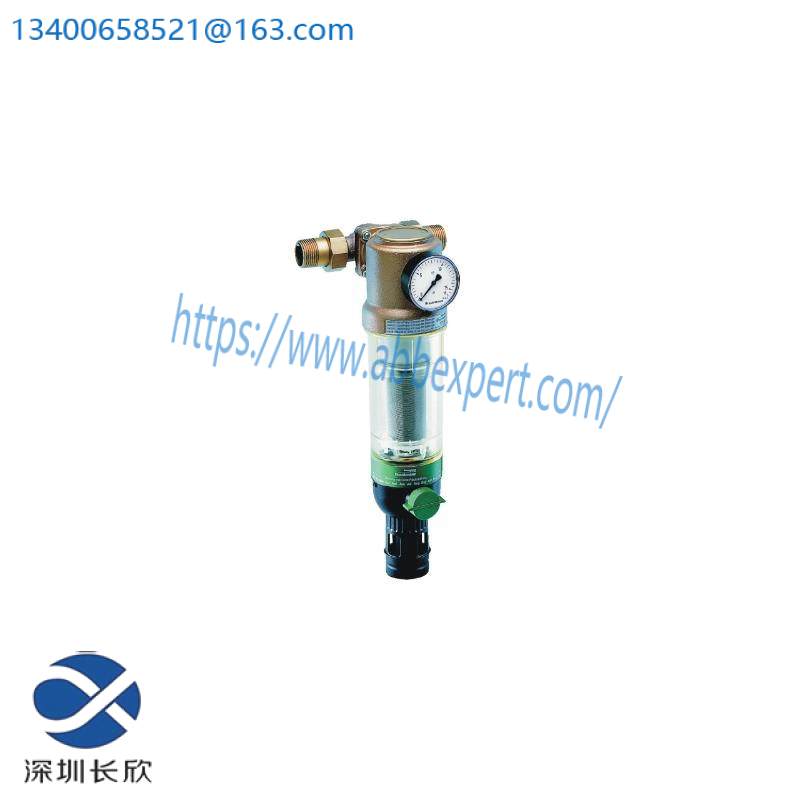 BRAUKMANN F76CS-1AA Reverse Rinsing Filters - Industrial Filtration Solution