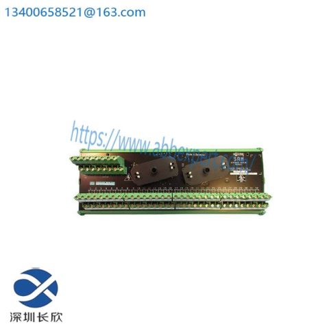 SIEMENS 16169-1-07 Analog Input Module